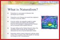 What is naturalism and its characteristics? – Janet-Panic.com